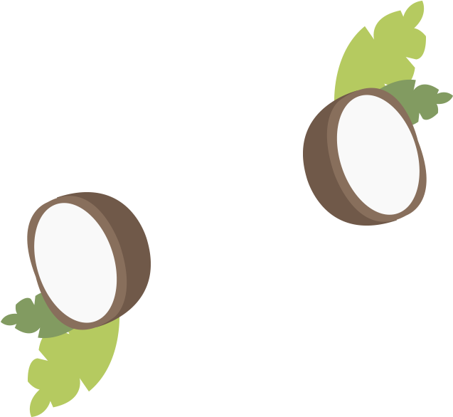 Coconut Flour Illustrations - Circle (800x800)