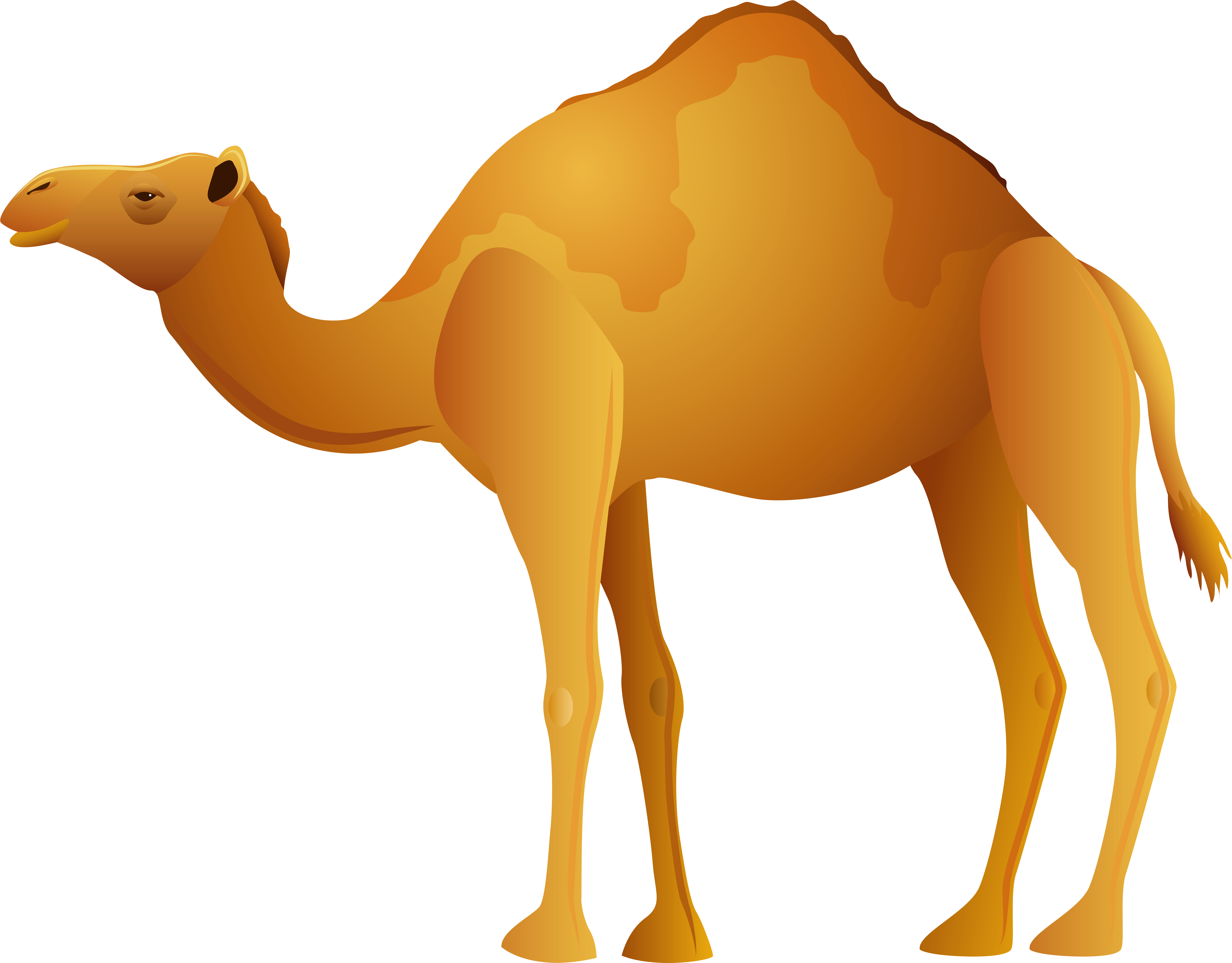 Camel Png Clip Art - Camel Png Clip Art (8000x6257)