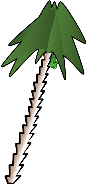 Date Palm, Tree, Trees, Plant, Leaning, Coconut, Dates, - Palm Trees (320x640)