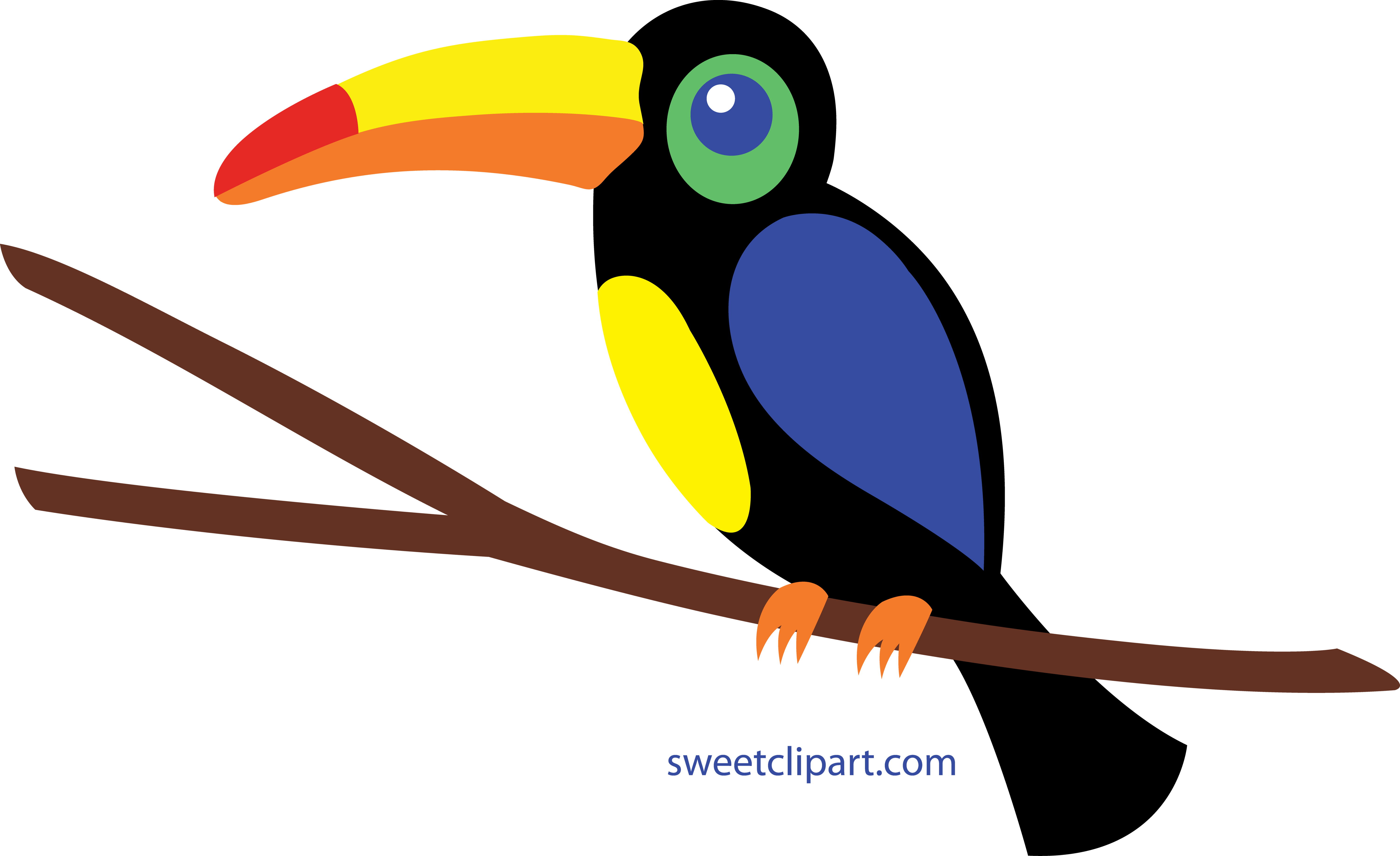 Toucan Clip Art Clipart - Hornbill Clipart (6000x3669)
