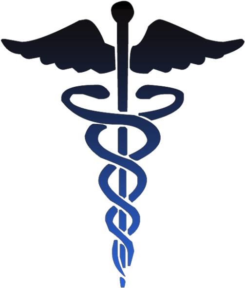 Caduceus Medical Symbol Black - Medical Symbol Clipart (1024x1024)