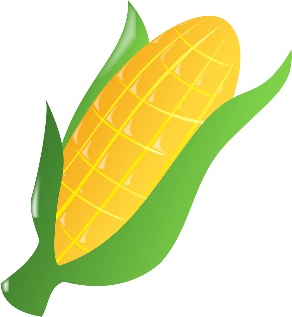 Corn Clipart Transparent Food - Ear Of Corn Clipart (958x1038)