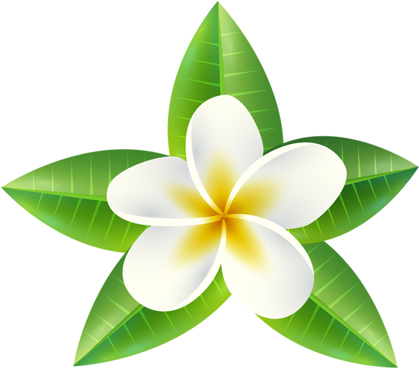 Tropical Flower Png Clip Art Image - Tropicalflowers Png (840x741)