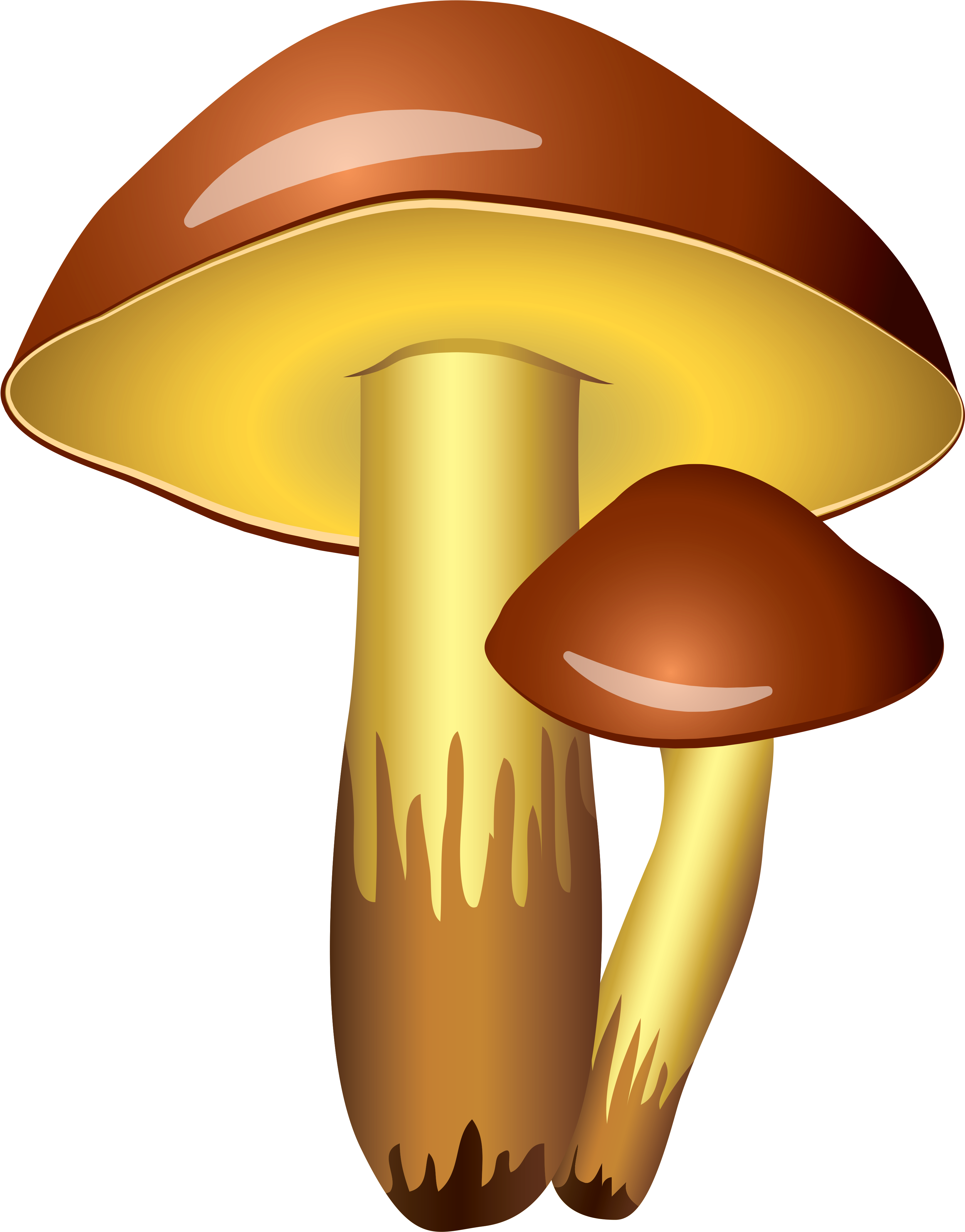 Mushroom Clipart Transparent Background - Mushroom Clipart Transparent Background (3635x4360)