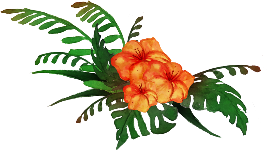 936 Tropical 01 By Tigers-stock - Tropical Png (1024x1122)
