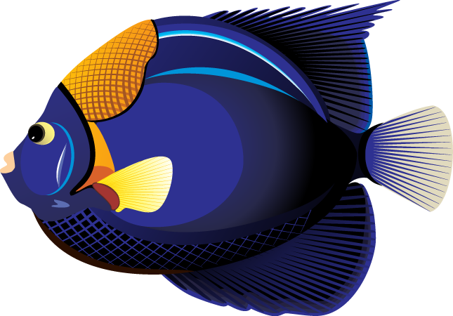 Clipart Fish - Tropical Fish Clip Art (645x450)