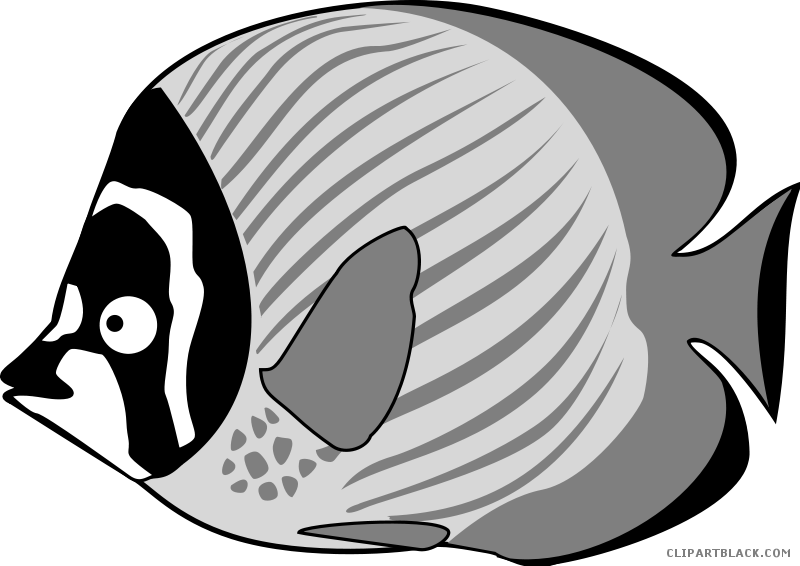 Tropical Fish Animal Free Black White Clipart Images - Clipart Cartoon Fish (800x566)
