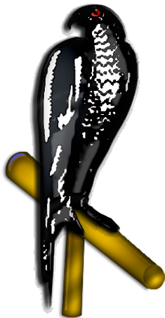 Maltese Falcon - Maltese Falcon Book Cover (512x512)