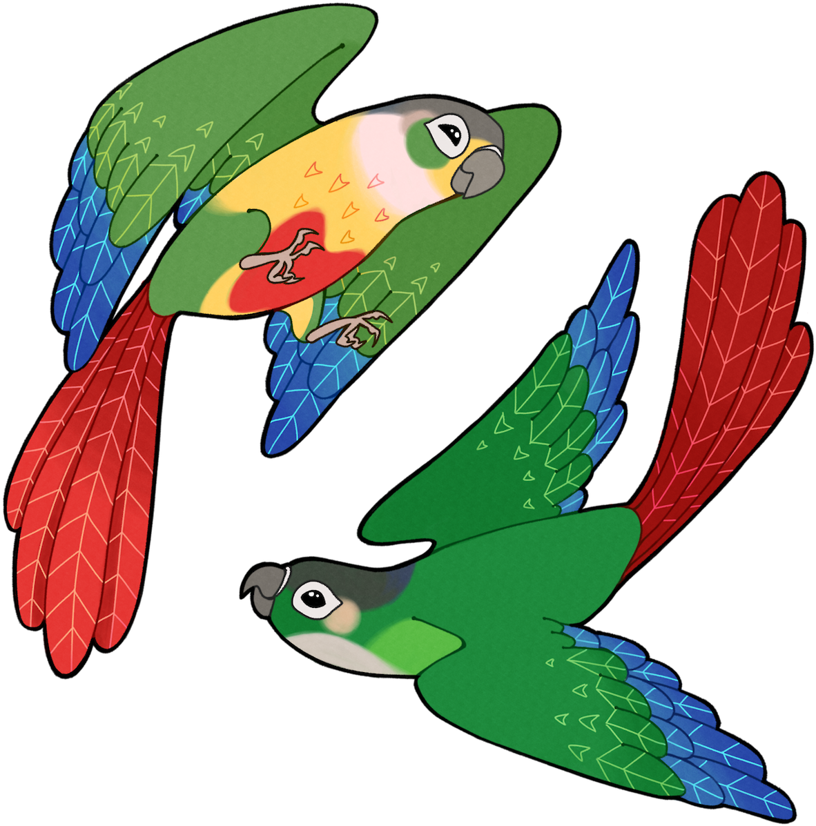 Tropical Fish Clip Art - Yellow Sided Conure Clipart (1280x1280)