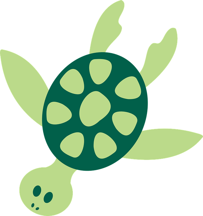 Tropical Clipart Turtle - Sea Animal Clip Art (678x720)