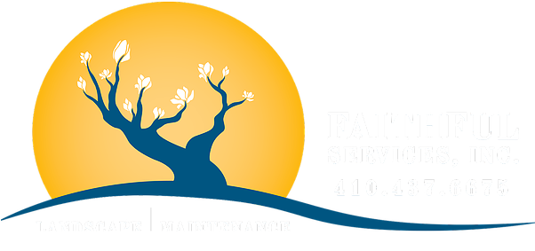 Silhouette (601x302)