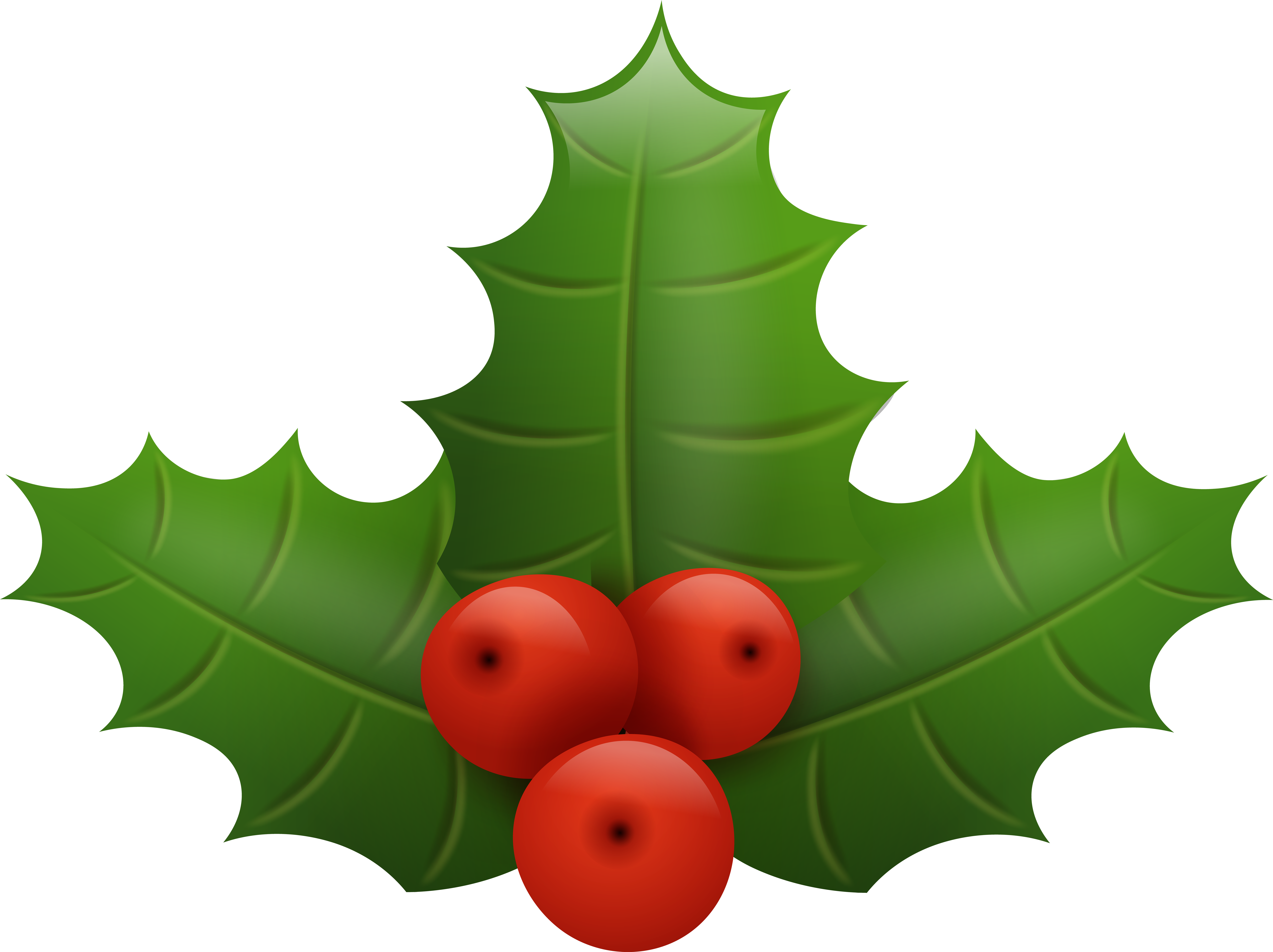 Holley Clipart Tree - Holly Png (8000x5984)