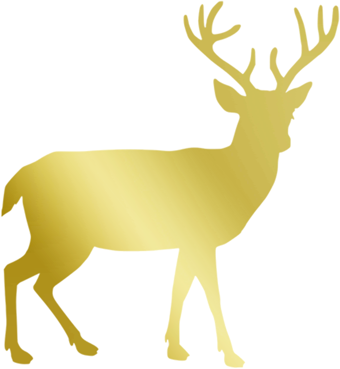 Gold, Deer, Stag, Reindeer, Christmas - Forest Animals Shower Curtain (663x720)
