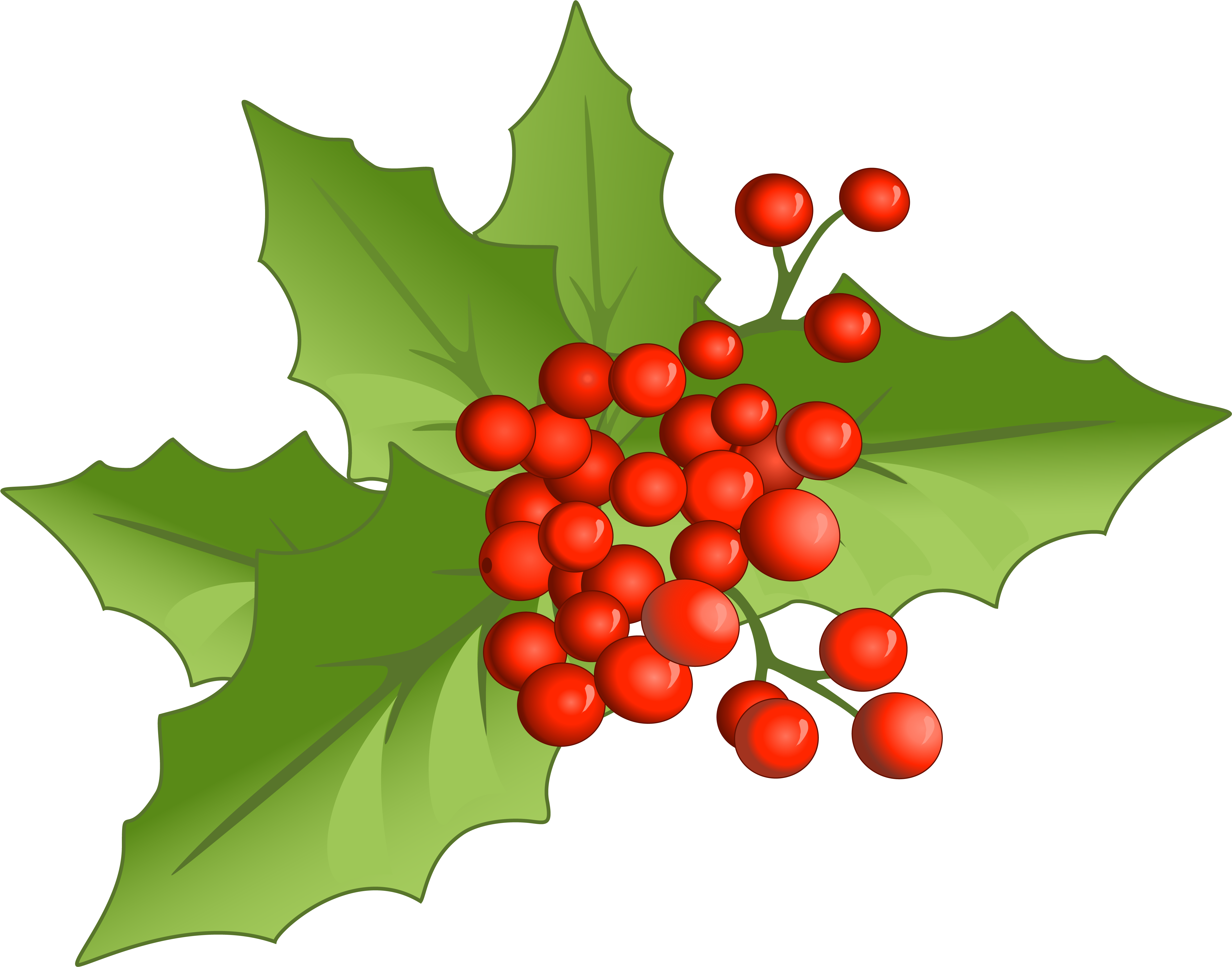 Mistletoe Clip Art - Fitbit Charge 2 Rose Gold (5128x4000)