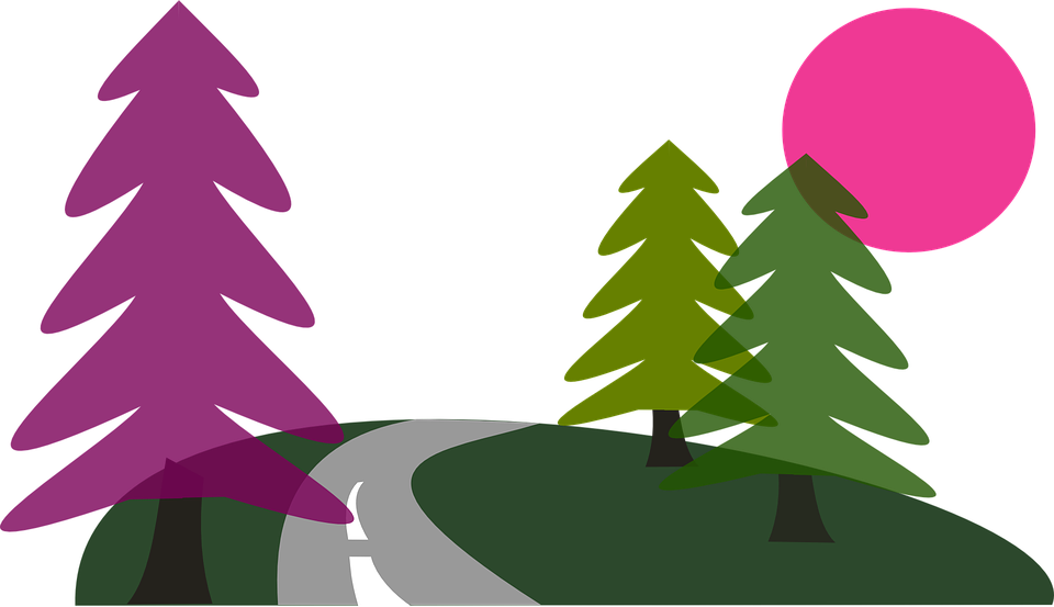 Sun Road Trees Travel Pine Conifers Path S - Cooles Landstraßen-willkommen Zur Postkarte (960x553)