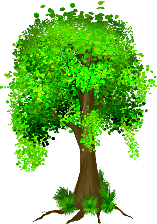 Tree, Tubes, Png - Full Money Tree Clipart (566x800)