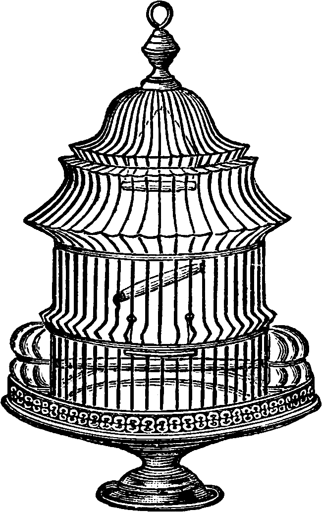 Download Free Vintage Bird Cage Clip Art Image No - Vintage Bird Cage Drawing (787x1114)