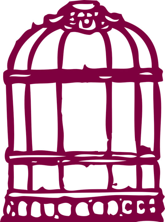 Birdcage Vintage Baroque Victorian Beautiful Old - Know Why The Caged Bird Sings Theme (537x720)