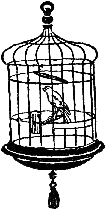 Bird Cage Transparent Clipart - Cage In Black And White (354x700)