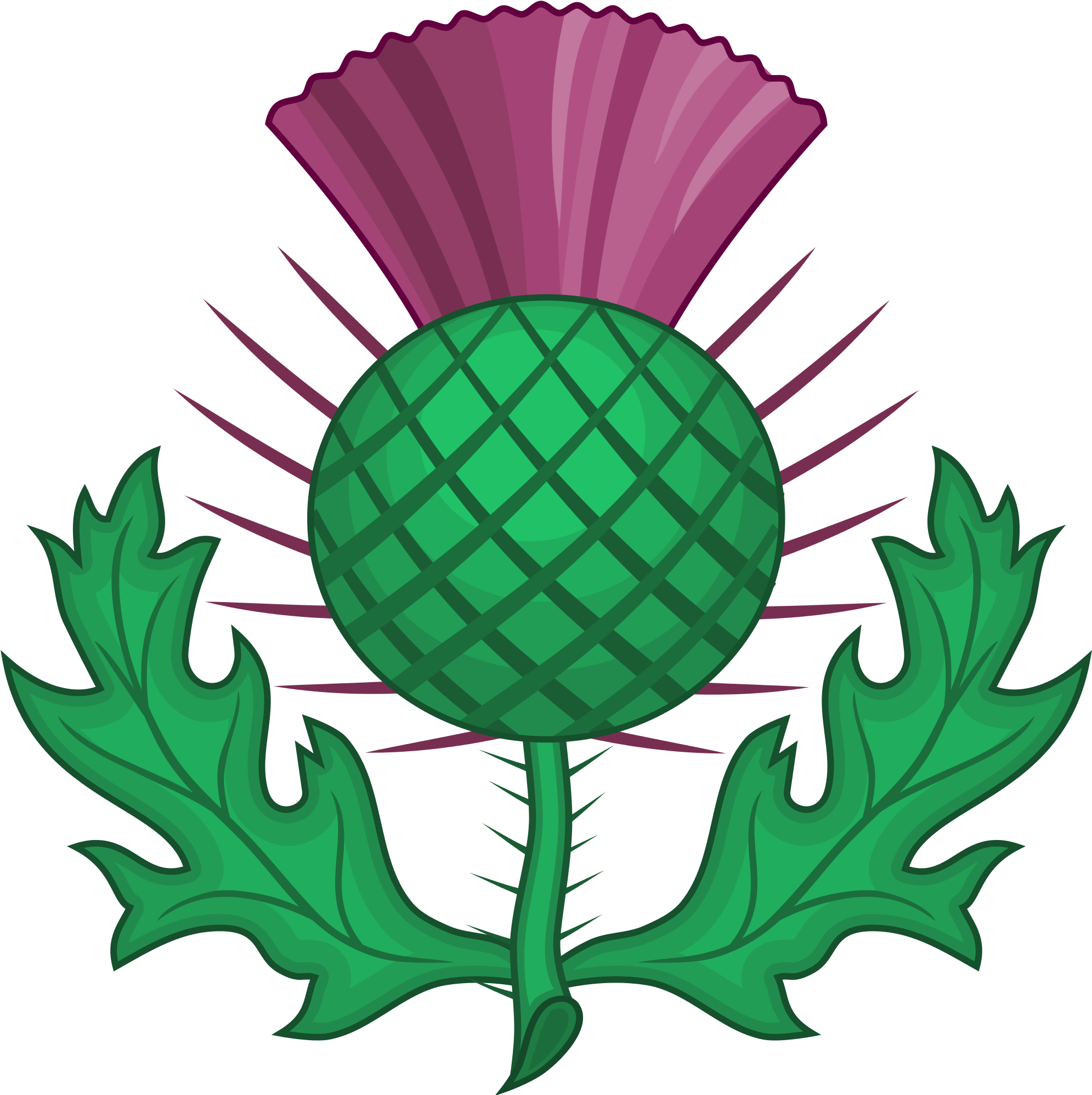 Scottish Thistle - National Symbol Of Scotland (2000x2000)