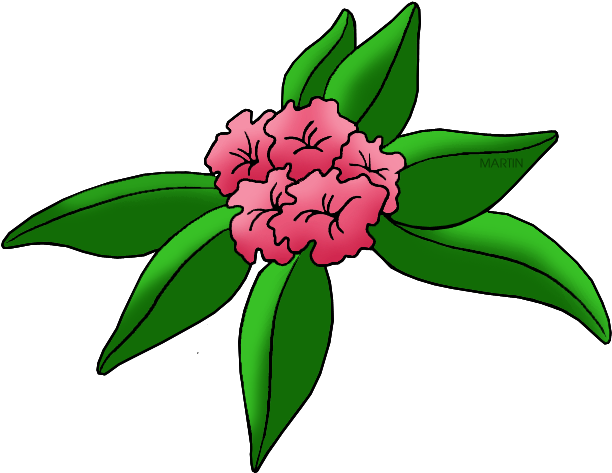 United States Clip Art By Phillip Martin, State Flower - State Flower Of Washington (648x501)
