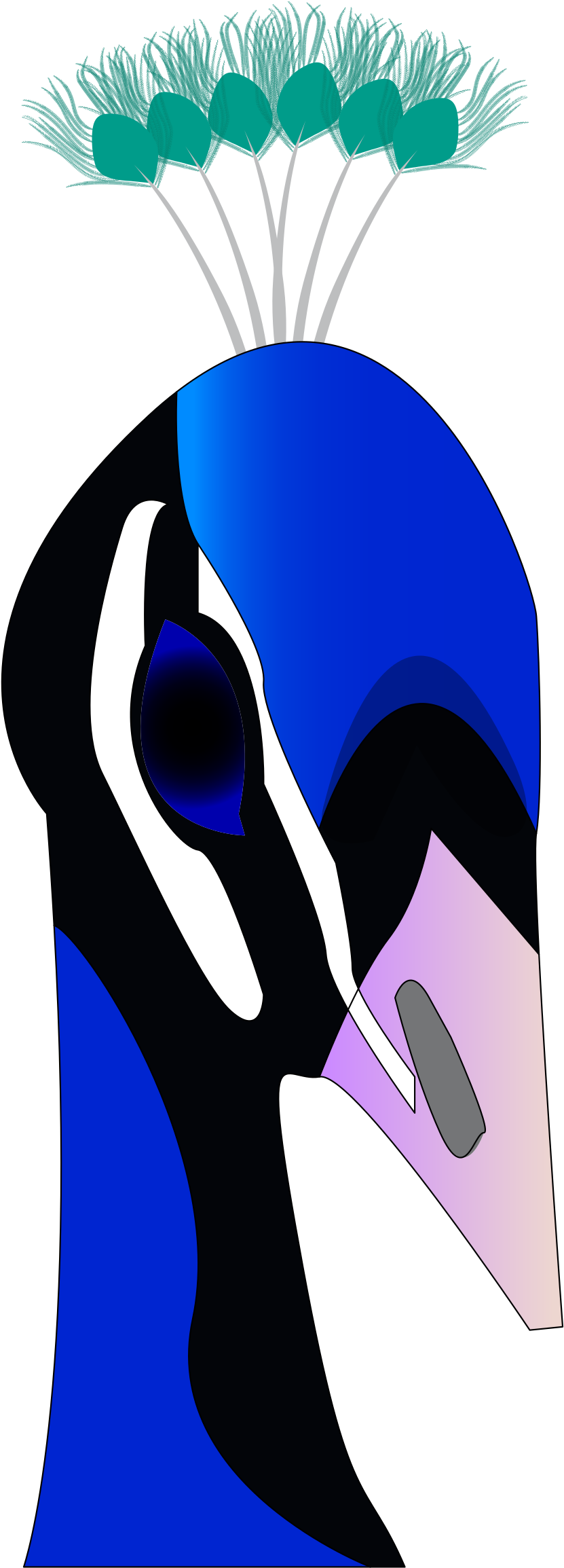 Blue Peacock Shower Curtain (1001x2400)