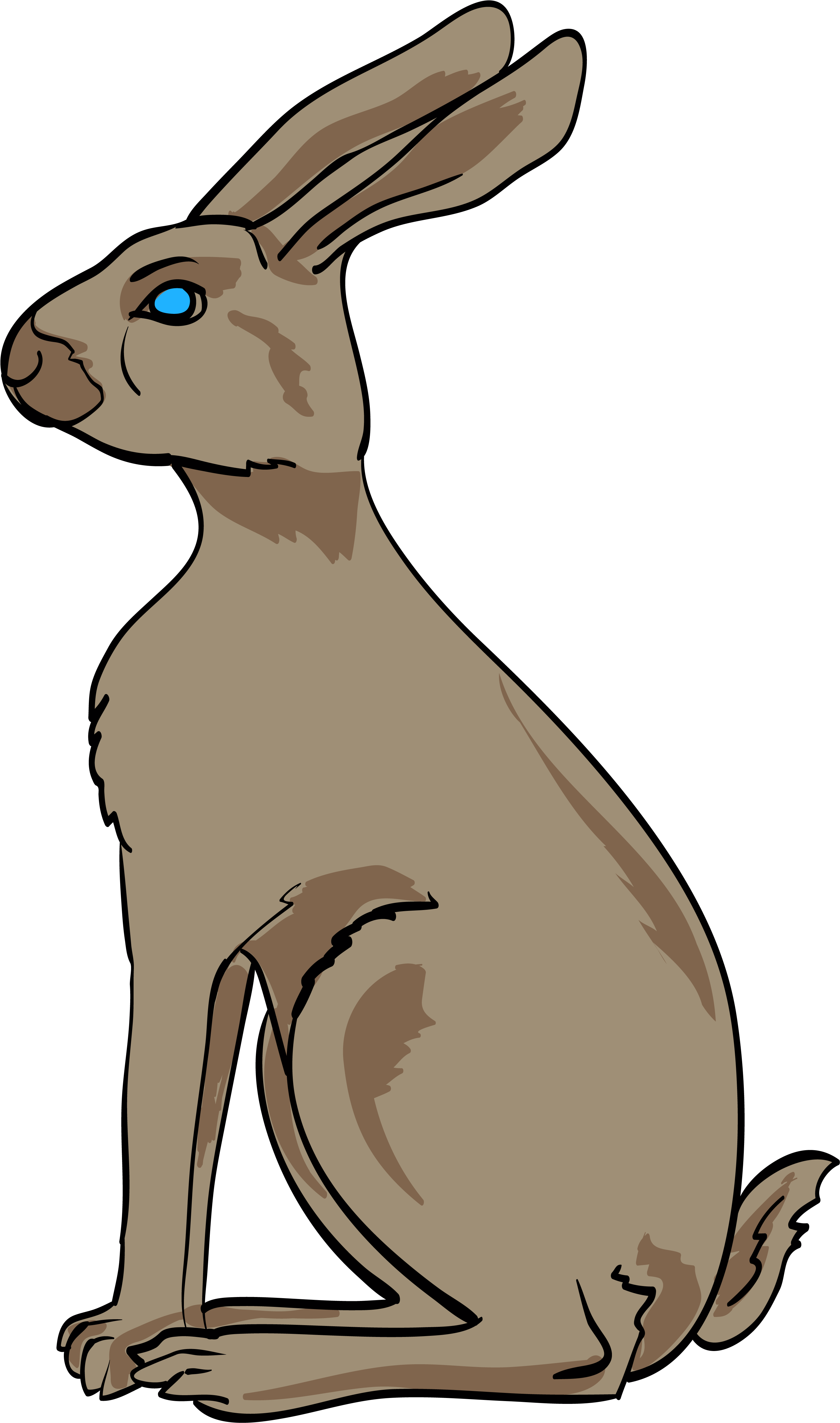 Hare Clipart Medieval - Coat Of Arms Rabbit (3000x5066)