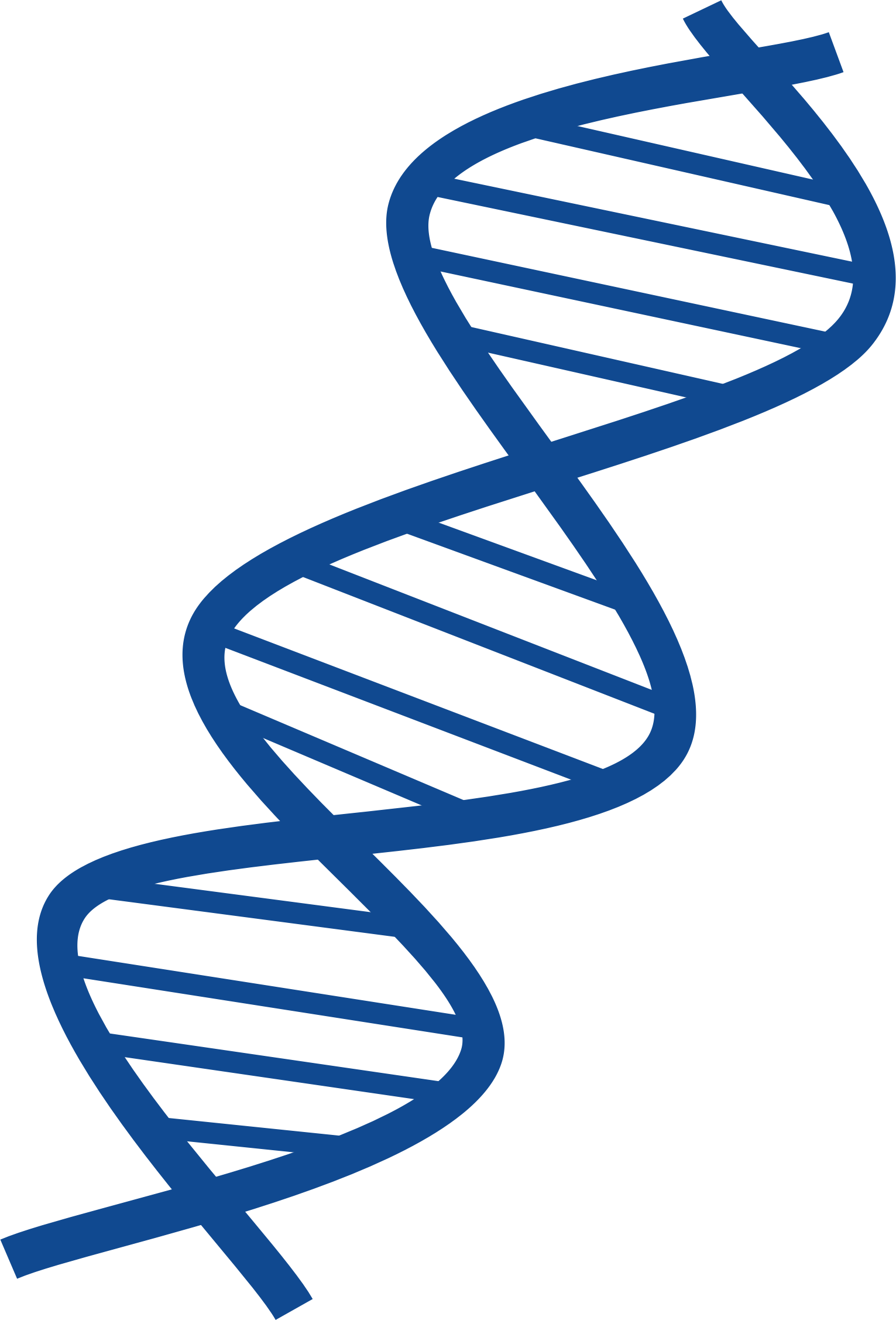 Dna - Dna Clipart (1531x2254)