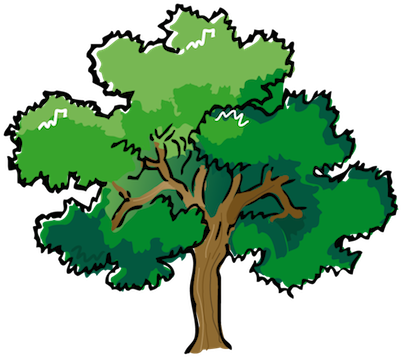 Low Cost Street And Yard Trees - Oak Tree Clipart (450x359)