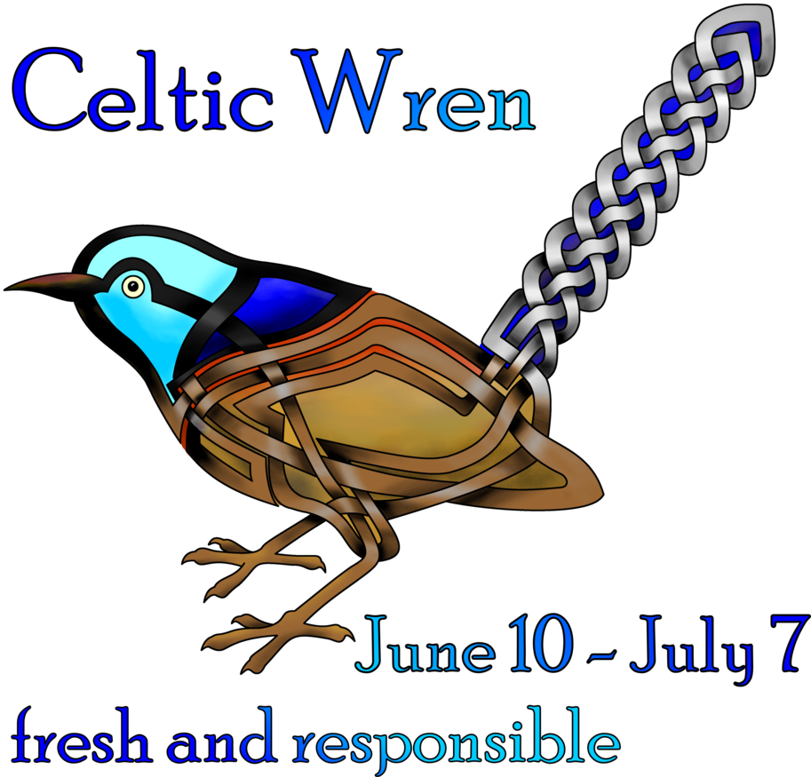 Celtic Clipart Astrology - Celtic Wren Shower Curtain (913x875)