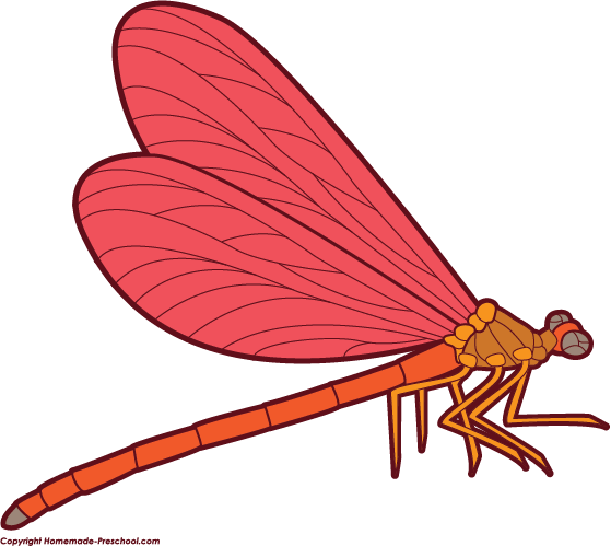 Click To Save Image - Dragonfly Clipart Png (559x499)