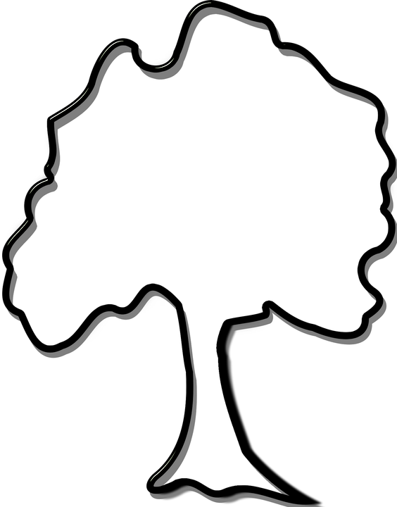 Baum Clipart Schwarz Weiß - Baum Clipart Schwarz Weiß (564x720)