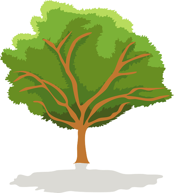 Vector Graphics (577x640)