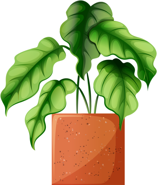 Clip Art Of Beautiful Plants For The Spring Garden - Вазон Клипарт (640x736)