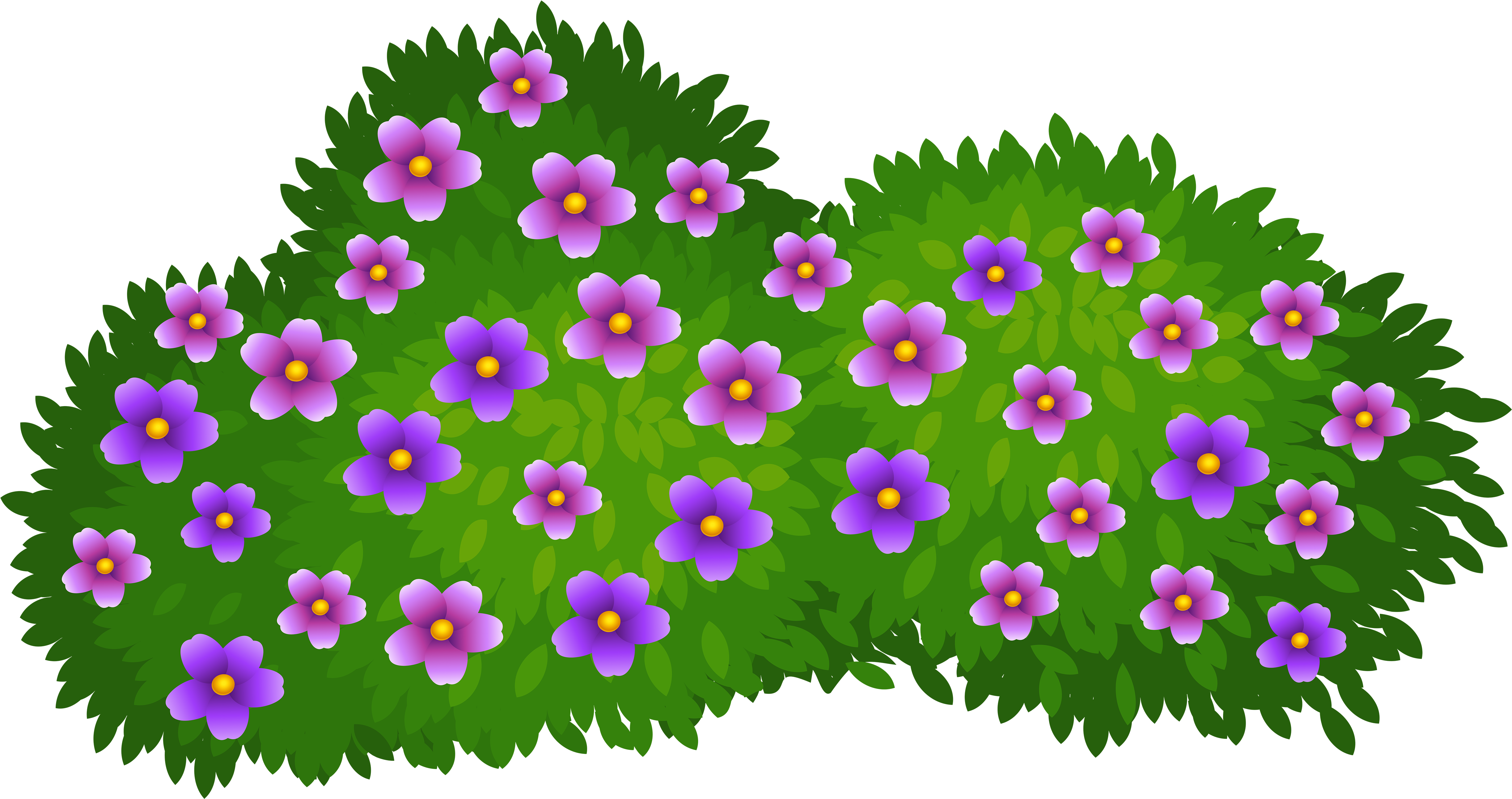 Flower Bush Clipart (5000x2720)