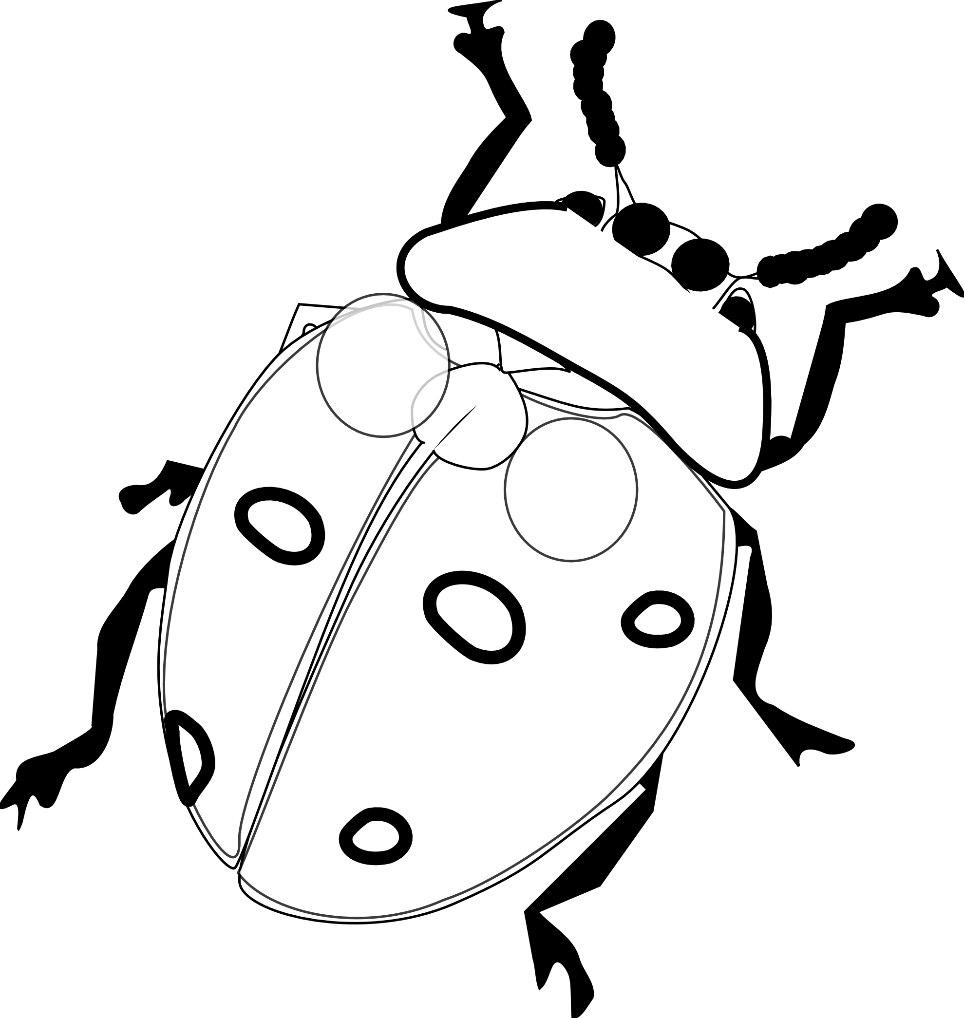 Clipart Info - Ladybird Black And White (2555x2698)