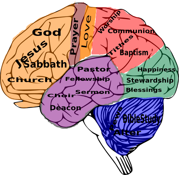Religion On The Brain Clip Art At Clker - God In The Brain (600x585)