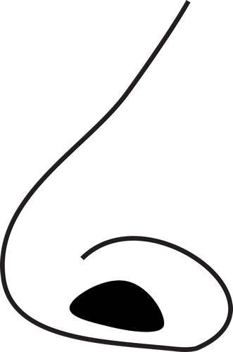 Black And White Nose - Nose Png Black And White (331x500)