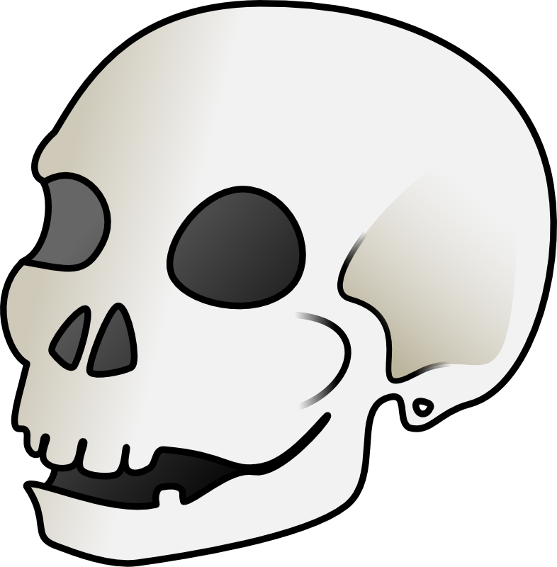 Clipart - Skull - Skull Cartoon (786x800)