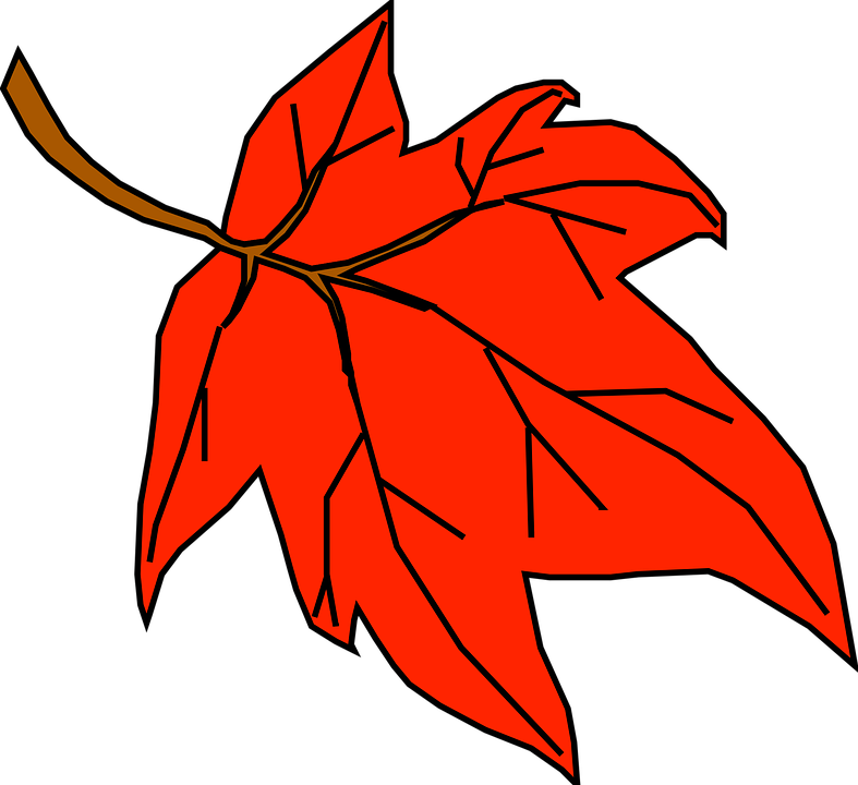 Red Fall Outline Yellow Leaf Tree Cartoon Orange Fall Leaves Clip Art 787x7 Png Clipart Download