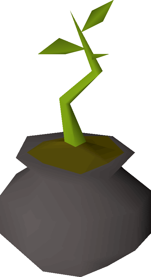 Bagged Plant Detail - Old School Runescape (504x924)