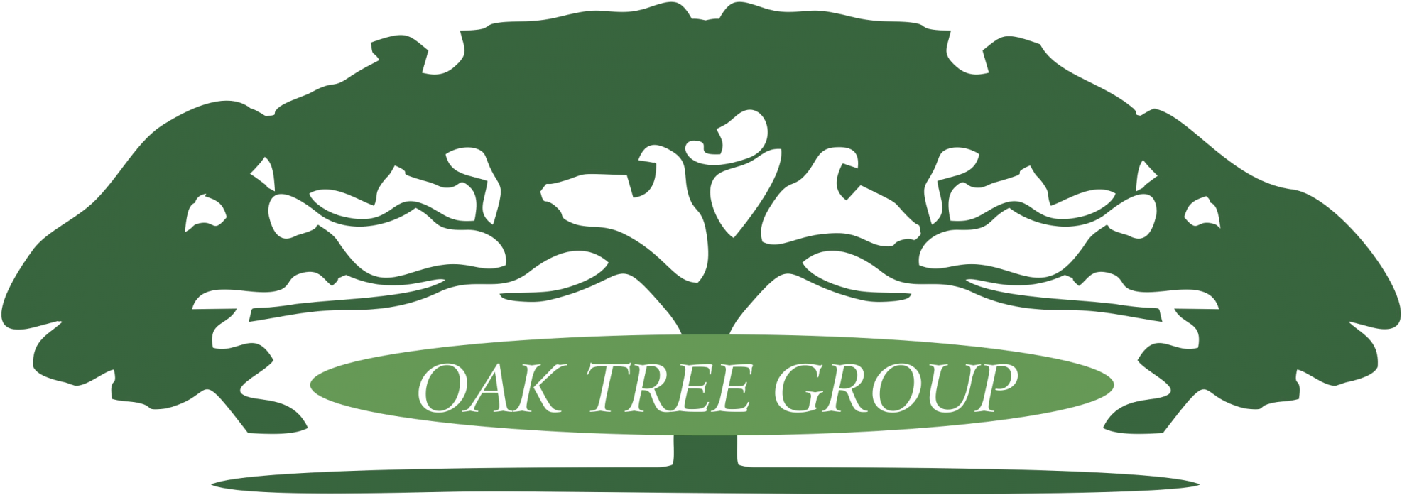 Oak Tree Group Dental And Surgical Headbands - Illustration (2048x768)