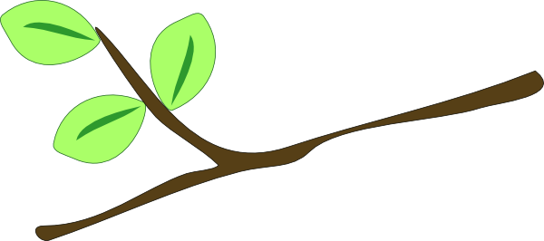 Oak Tree Limb Clipart - Tree Branch Clip Art (600x266)