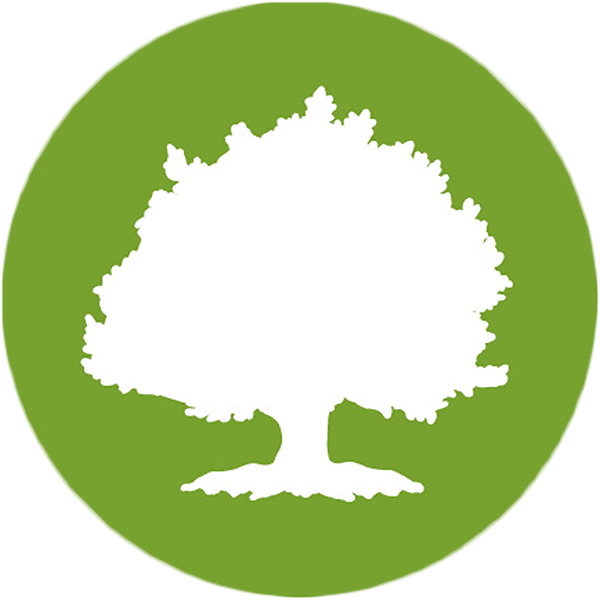 Large Tree - Oak Street Health Logo (600x600)