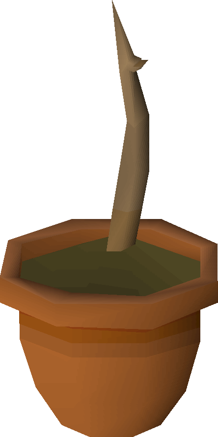 Oak Saplings Are Obtained By Planting An Acorn In A - Old School Runescape (444x890)