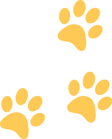 Leopard Paw Print Clip Art - Black And Gold Paw Print (480x594)