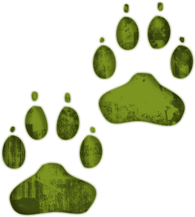 Paw Clipart Green - Red Panda Paw Print (512x512)