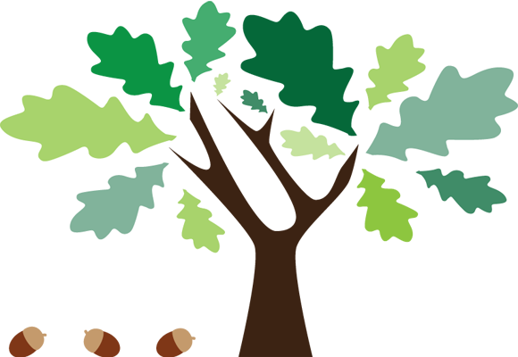 From Small Acorns Great Oak Trees Grow - Accountant (580x400)