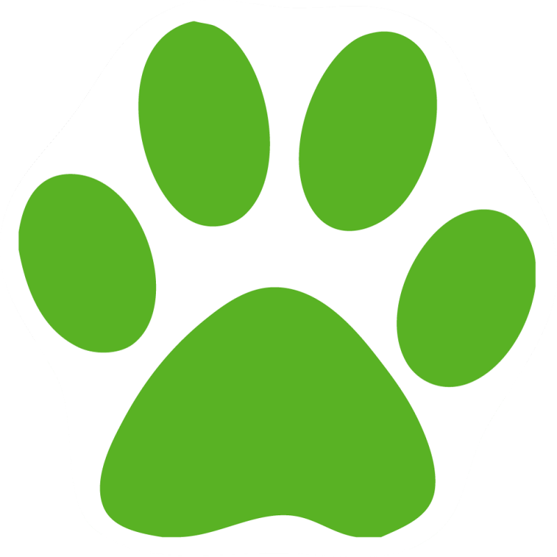 Dog Paw Print Clip Art Cliparts - Green Cat Paw Print (800x800)