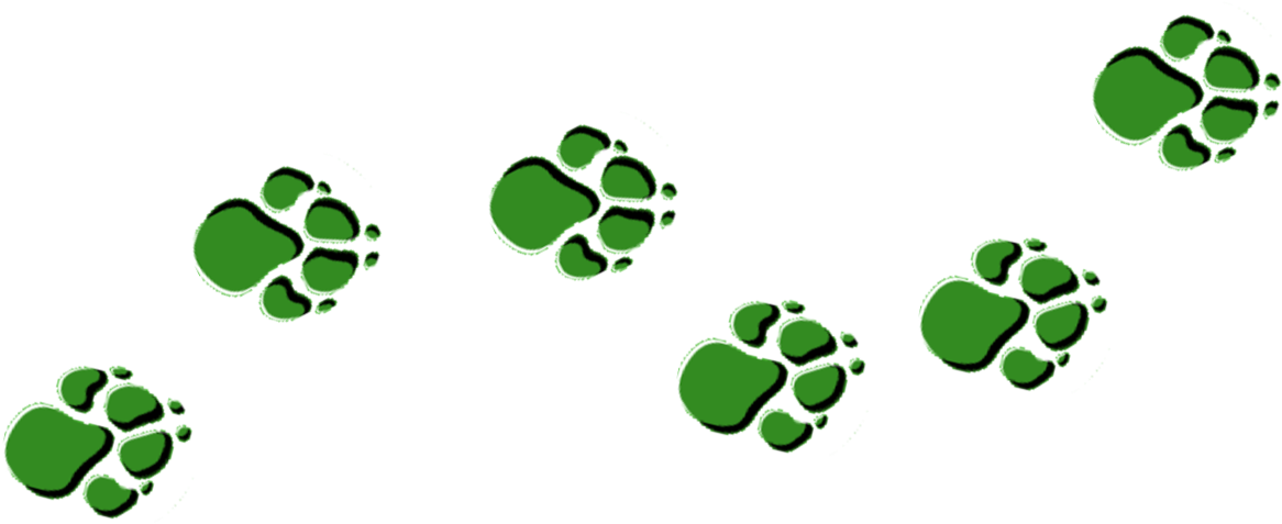Anime Wolf Girl Clipart - Green Paw Prints Png (1210x539)
